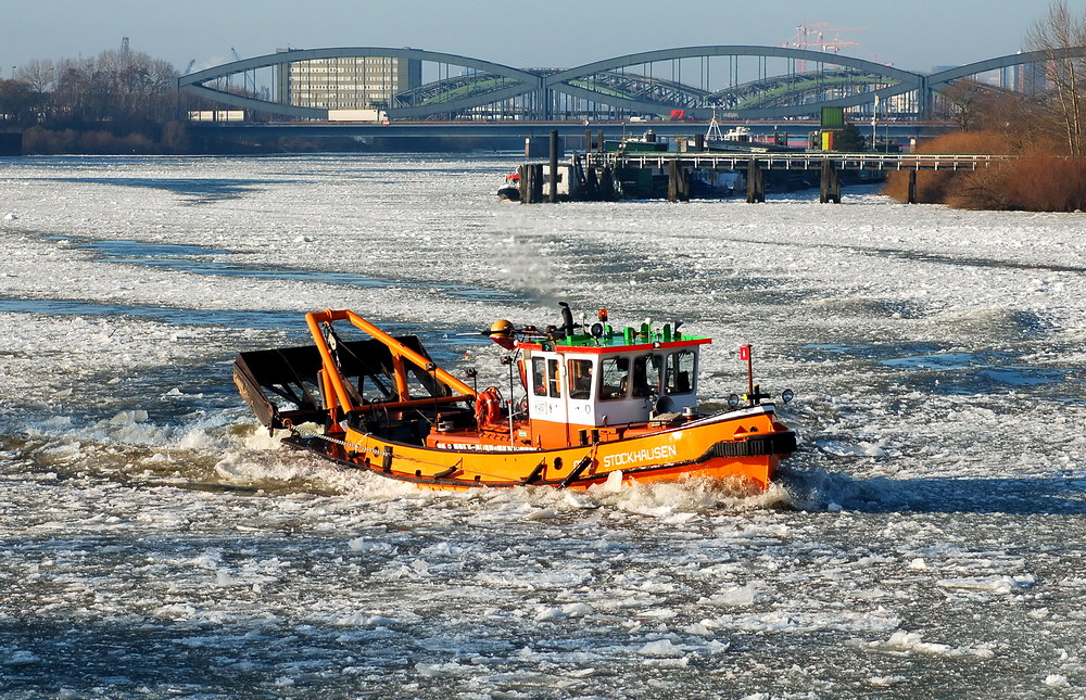 Winter an den Elbbrücken