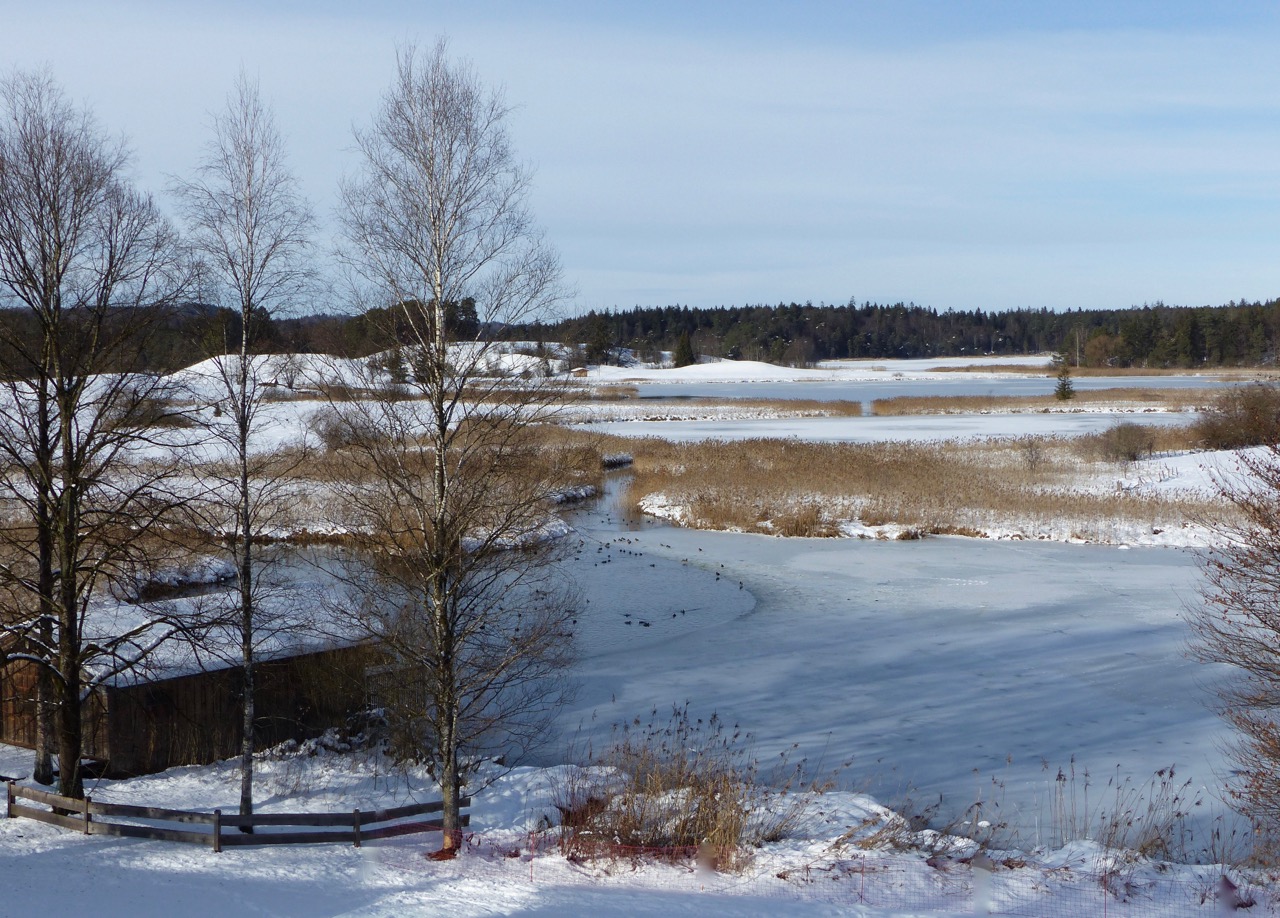 Winter an den Osterseen / Oberbayern