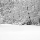 Winter an den Schlageter - Teichen (Bottrop-Eigen)