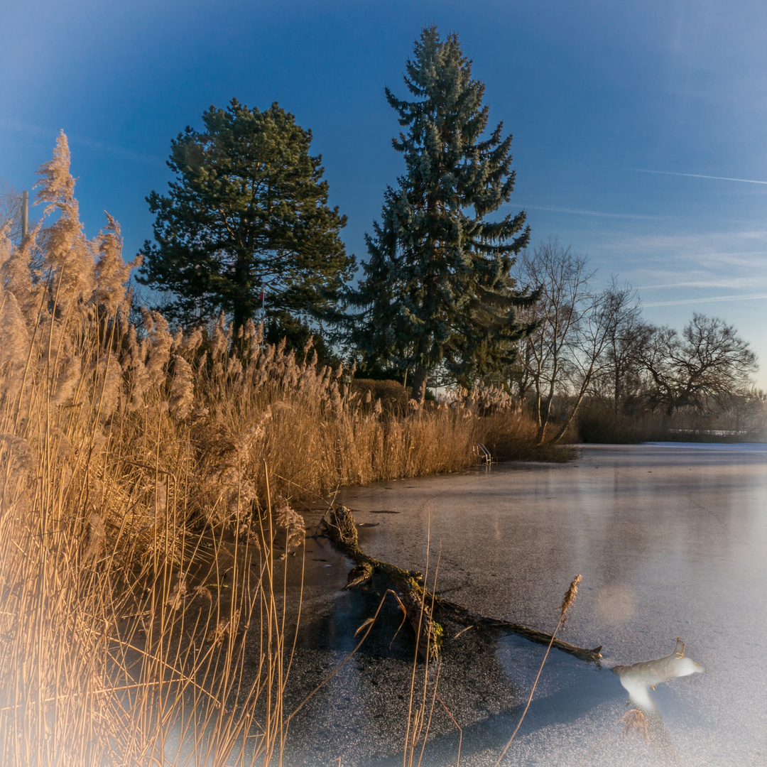 Winter an den Teichen IV Hannover Foto & Bild wasser, winter, teich