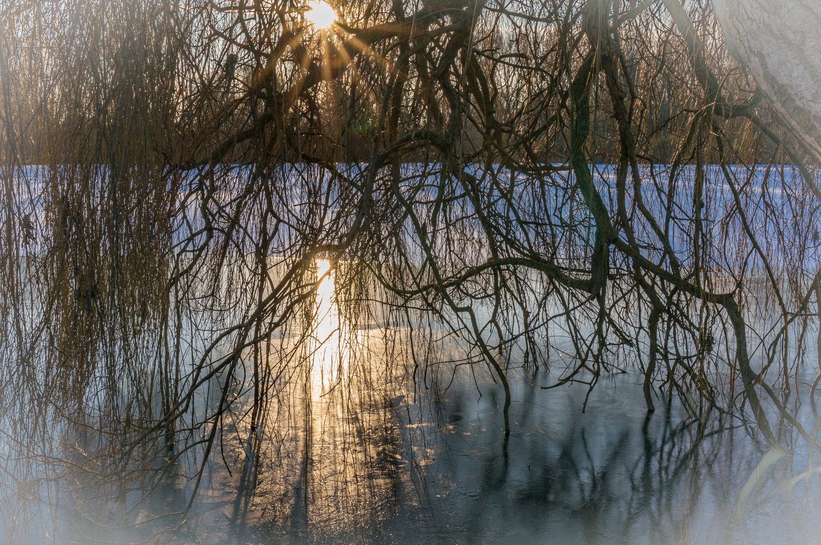 Winter an den Teichen IX - Hannover