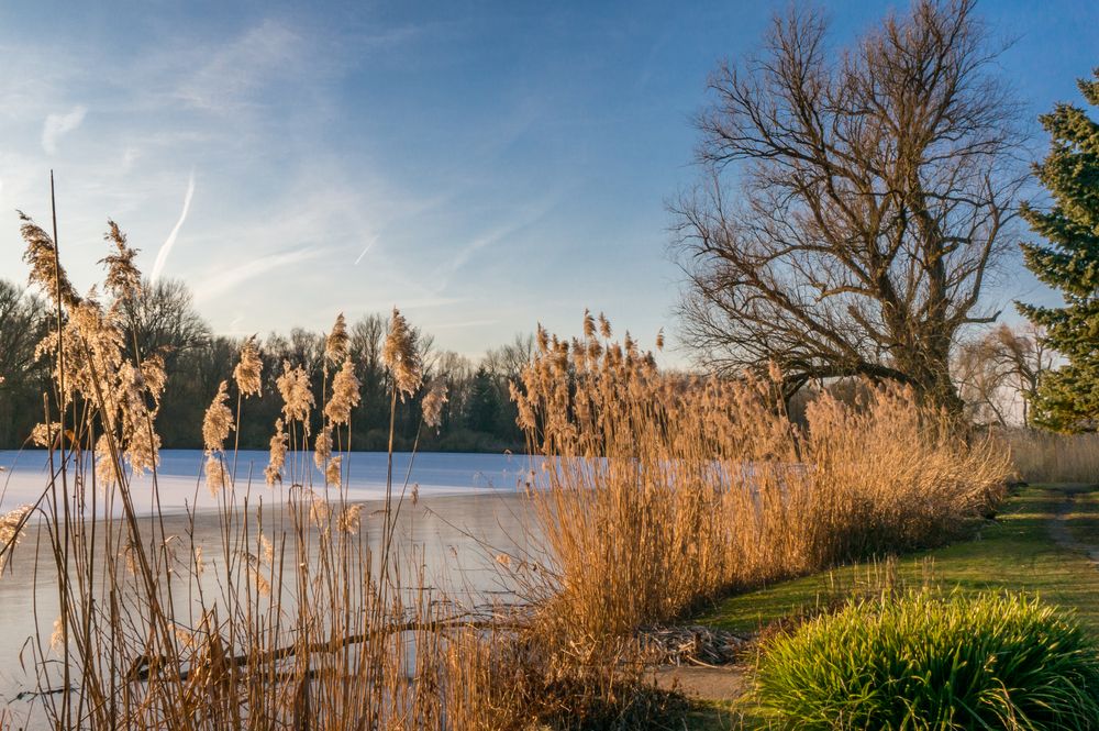 36+ Vierthaler Teich Hannover, Sowohl im sommer, als auch im winter