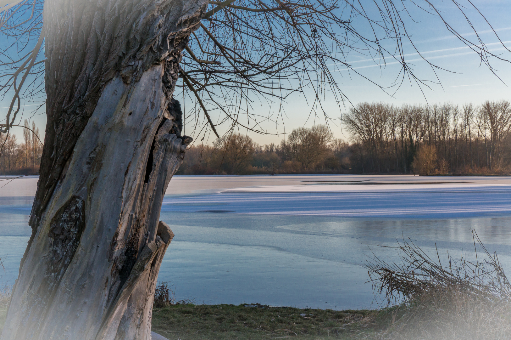 Winter an den Teichen VI Hannover Foto & Bild wasser, teich, eis