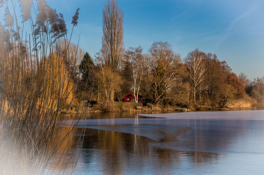 Winter an den Teichen XI Hannover Foto & Bild wasser, winter, teich
