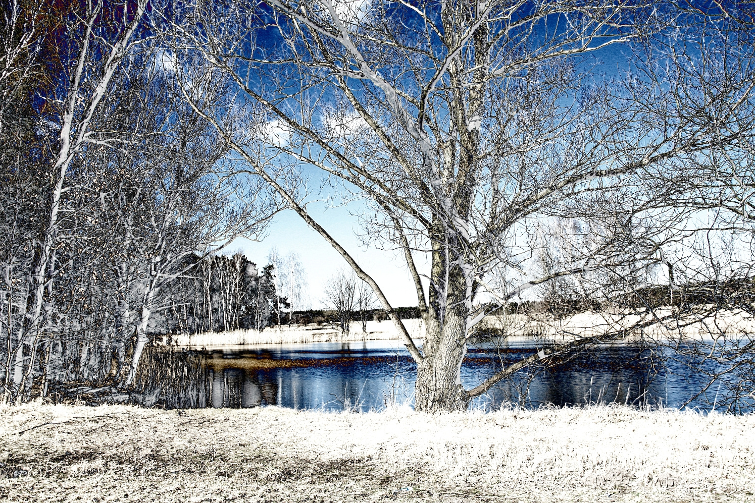 Winter an der Ahrensdorfer Kiesgruben