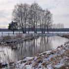 Winter an der Aller