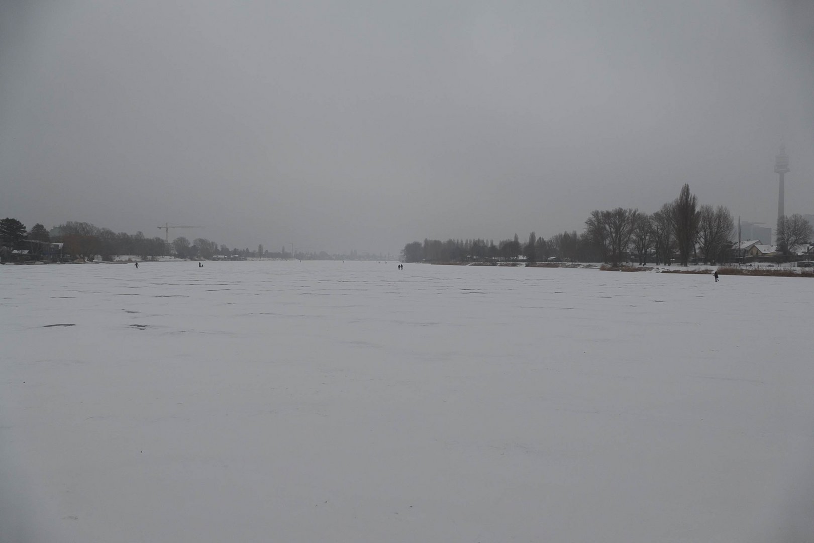 Winter an der Alten Donau (3)