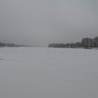 Winter an der Alten Donau (3)