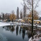 Winter an der Alten Donau (4)