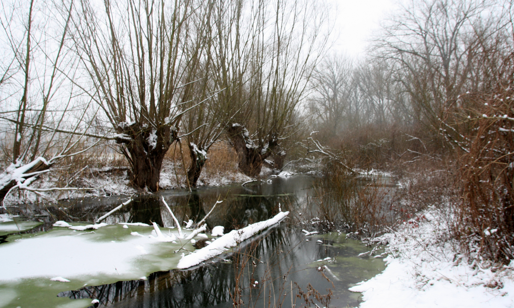 Winter an der alten Leine