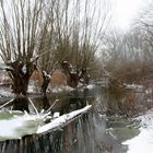 Winter an der alten Leine