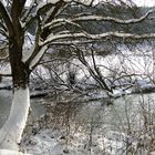 Winter an der Altmühl in Altendorf