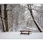 " Winter an der Ammersbek " I