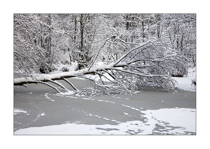 " Winter an der Ammersbek " II