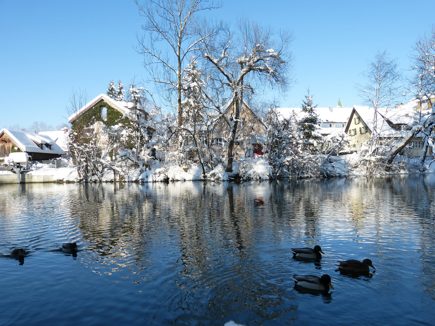 Winter an der Argen... 