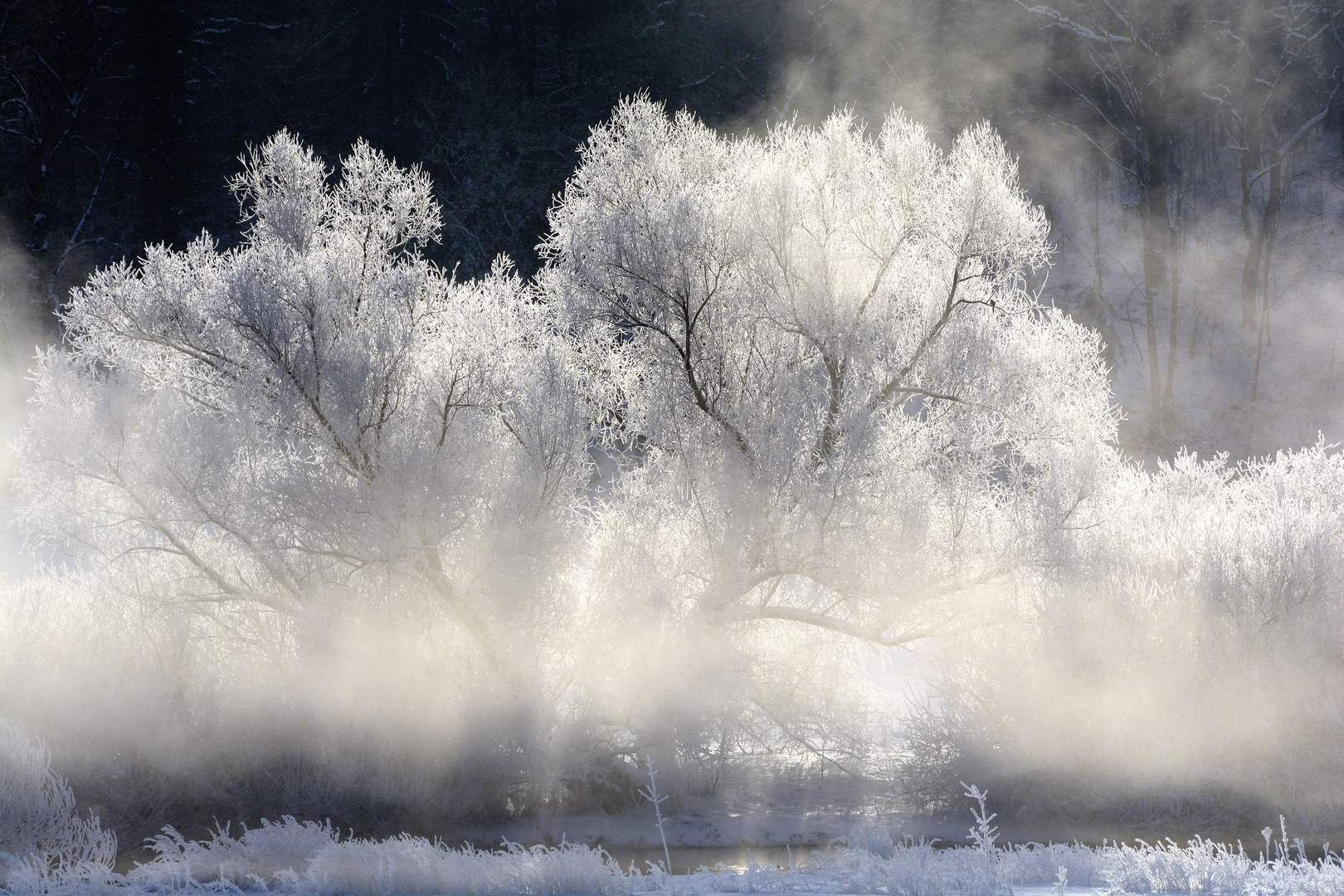 Winter an der Blau