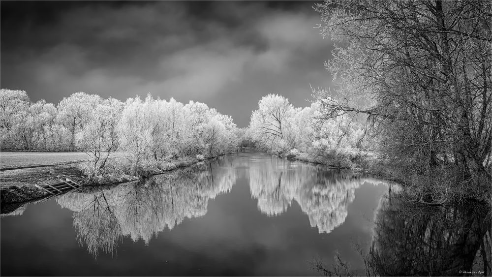 Winter an der Bode