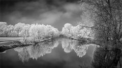 Winter an der Bode