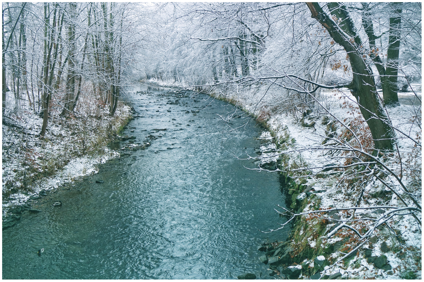 Winter an der Chemnitz ...