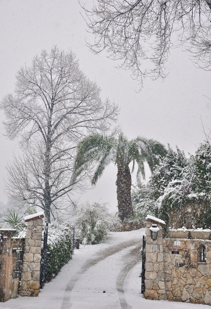 winter an der Cote d'Azur