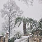 winter an der Cote d'Azur