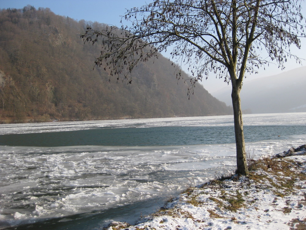 Winter an der Donau