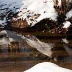 Winter an der Düssel