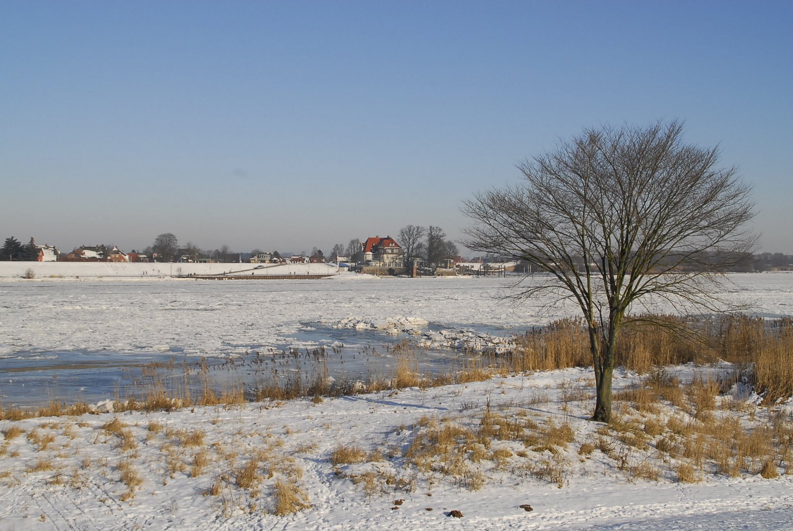 Winter an der Elbe