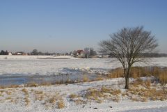 Winter an der Elbe