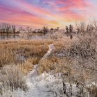 Winter an der Elbe