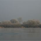 Winter an der Elbe