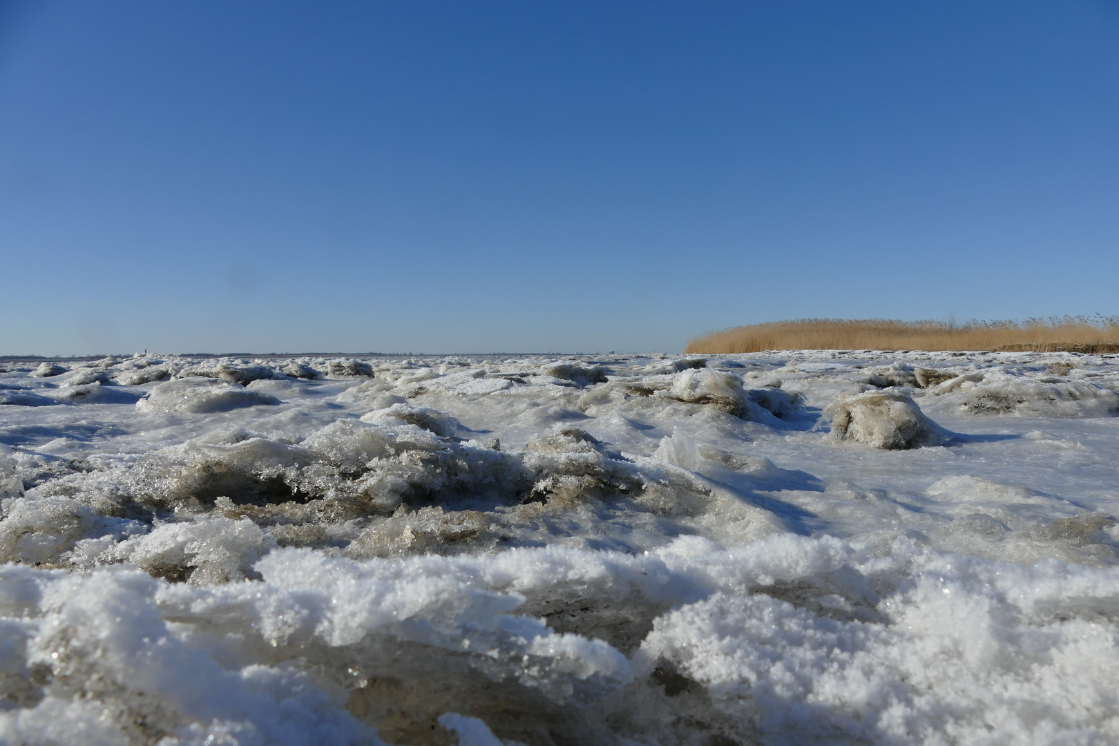 Winter an der Elbe