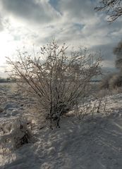 Winter an der Elbe 2