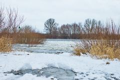 Winter an der Elbe 2010