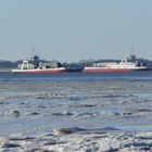 Winter an der Elbe