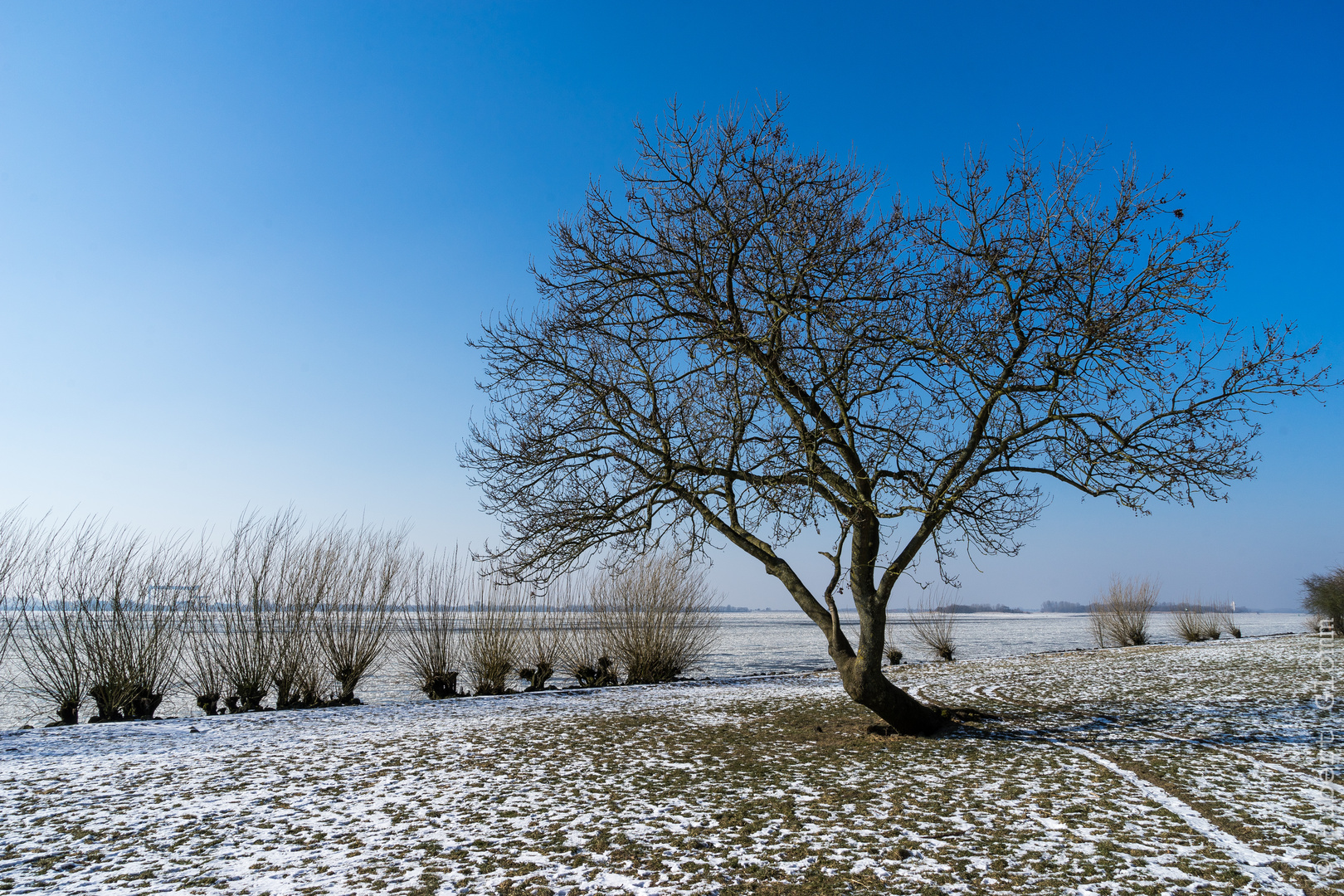 Winter an der Elbe