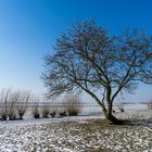 Winter an der Elbe