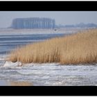 Winter an der Elbe