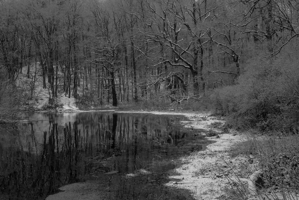 Winter an der Elbe