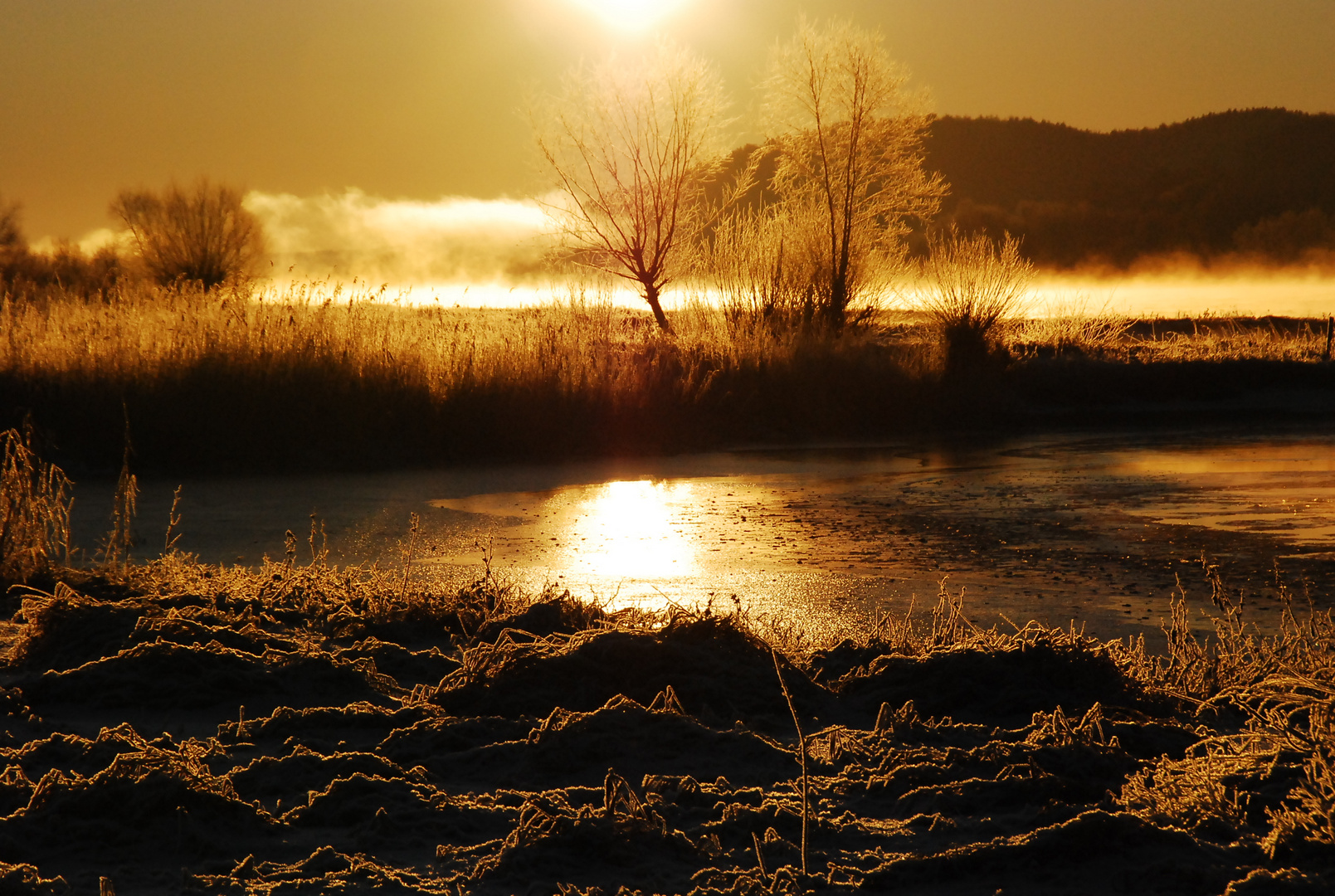 winter an der Elbe