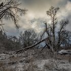 Winter an der Elbe