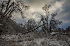 Winter an der Elbe