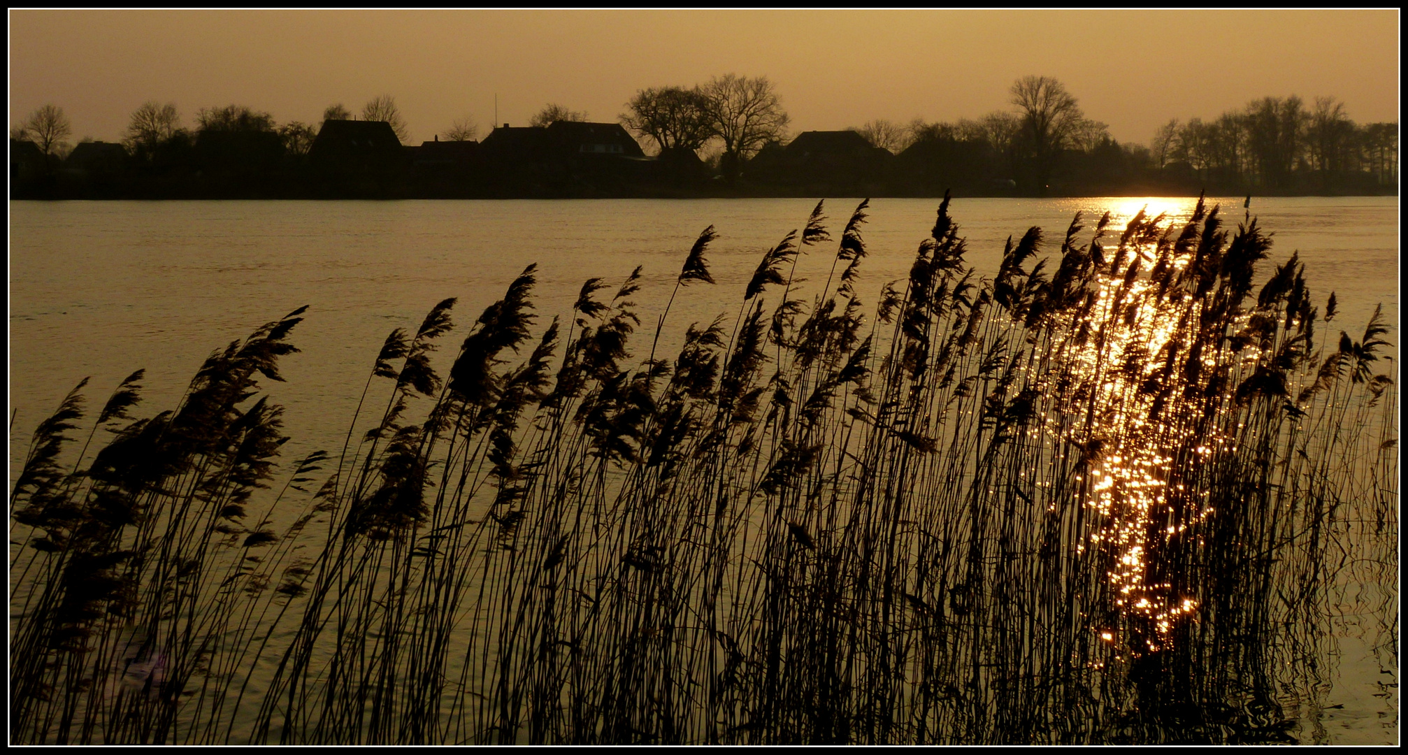 Winter an der Elbe