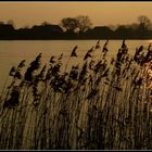 Winter an der Elbe