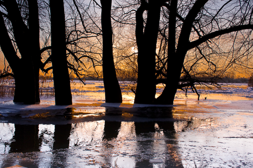 Winter an der Elbe