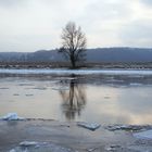 Winter an der Elbe bei Radebeul