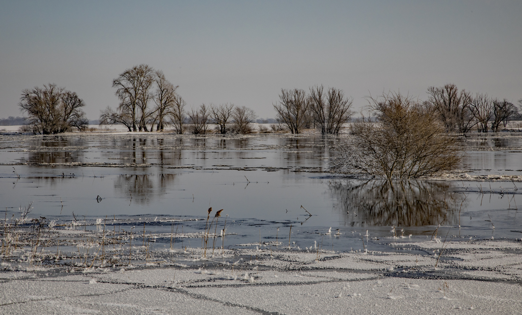 Winter an der Elbe