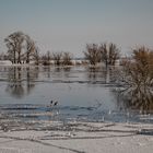 Winter an der Elbe