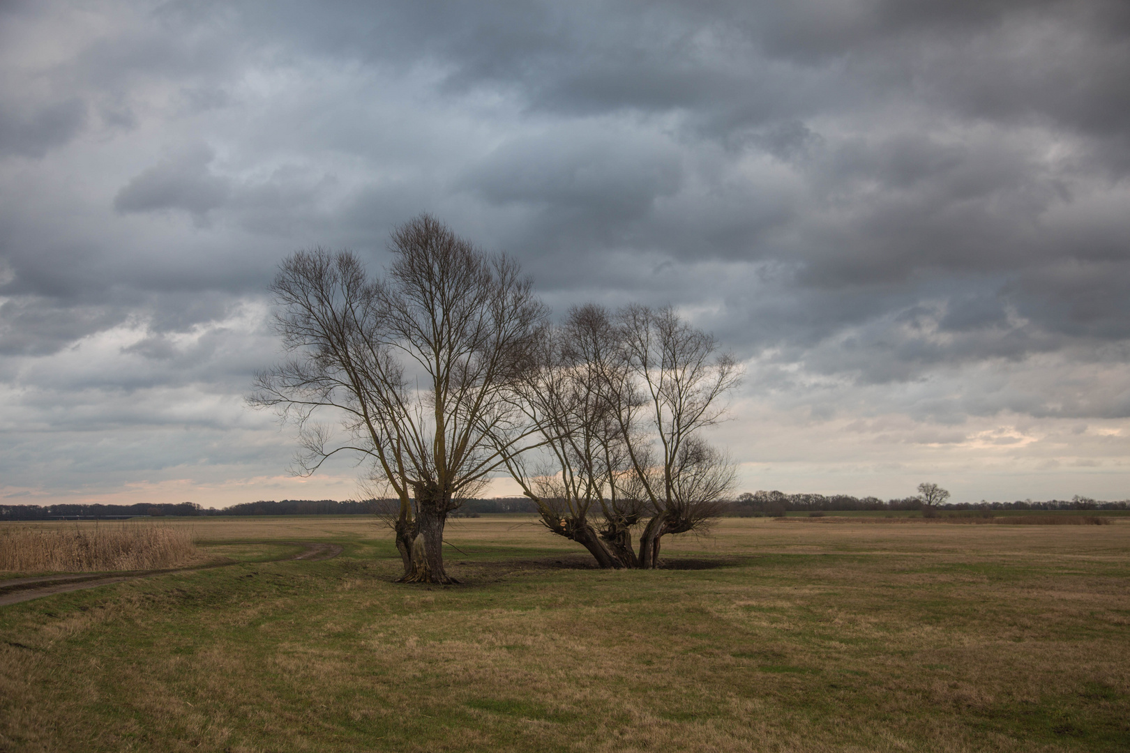 Winter an der Elbe