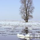 Winter an der Elbe